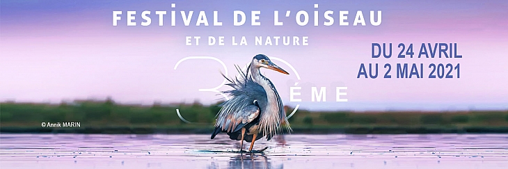 En Ligne - Festival de l'Oiseau et de la Nature