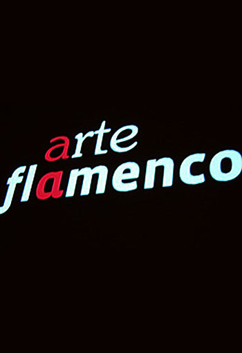 Festival Arte Flamenco