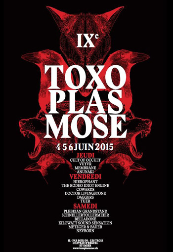 Toxoplasmose Festival