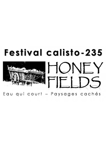Festival Honey Fields